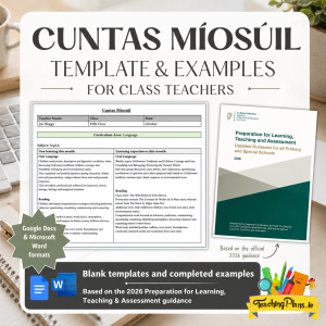Class Teacher Cuntas Míosúil Templates and Completed Examples